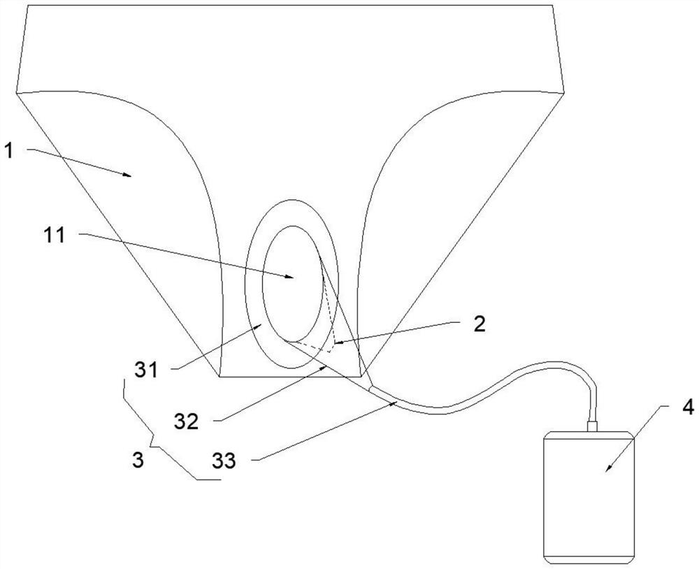 Underpants type urine collector for women