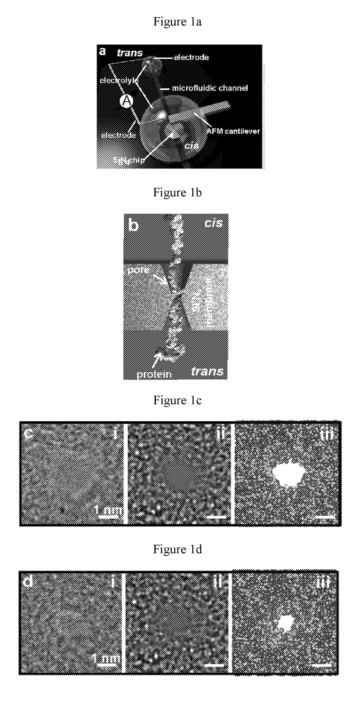 A picometer-diameter pore in an inorganic membrane for sequencing protein