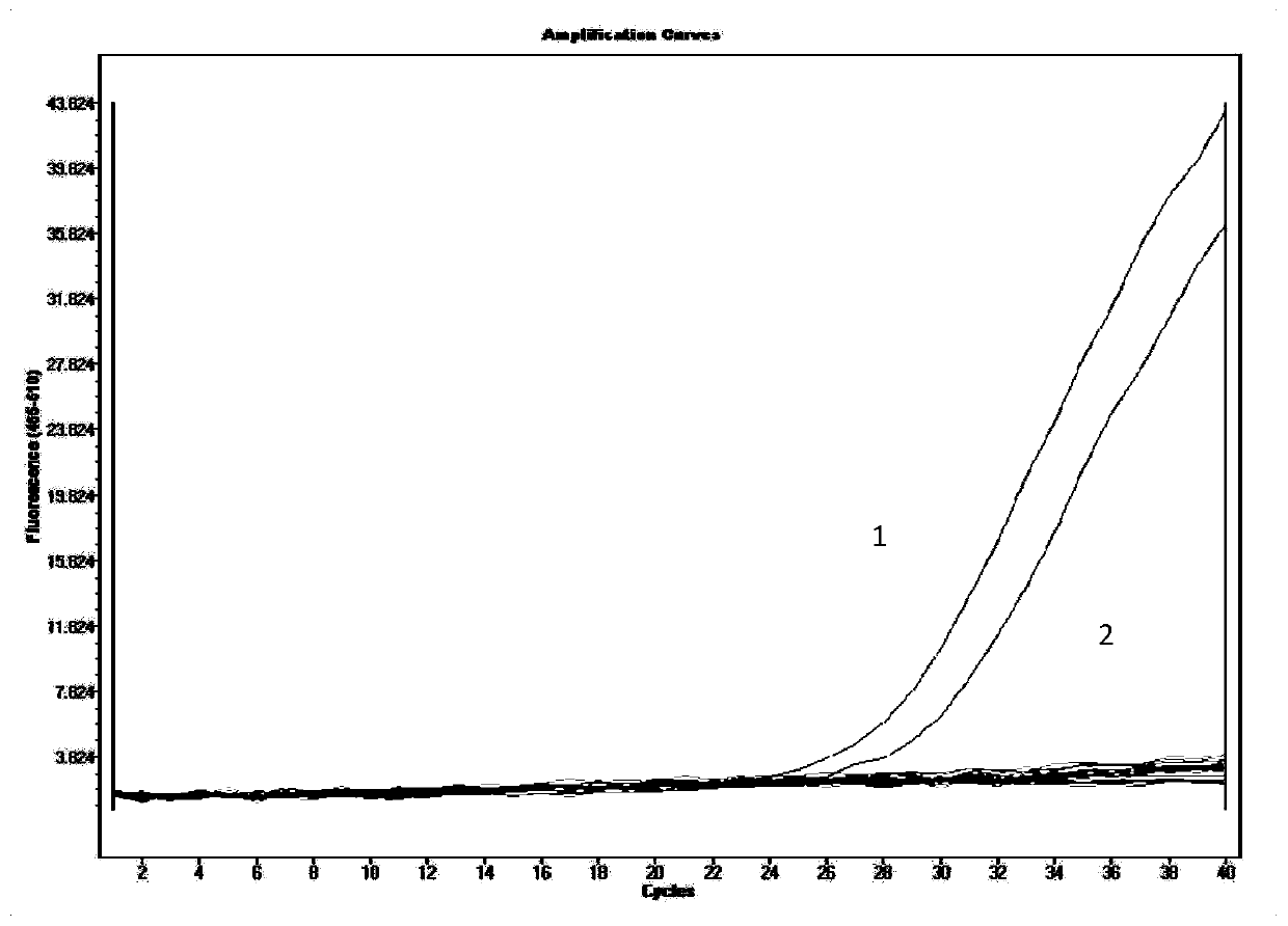 Specific primer, probe, kit and method for detecting barley component