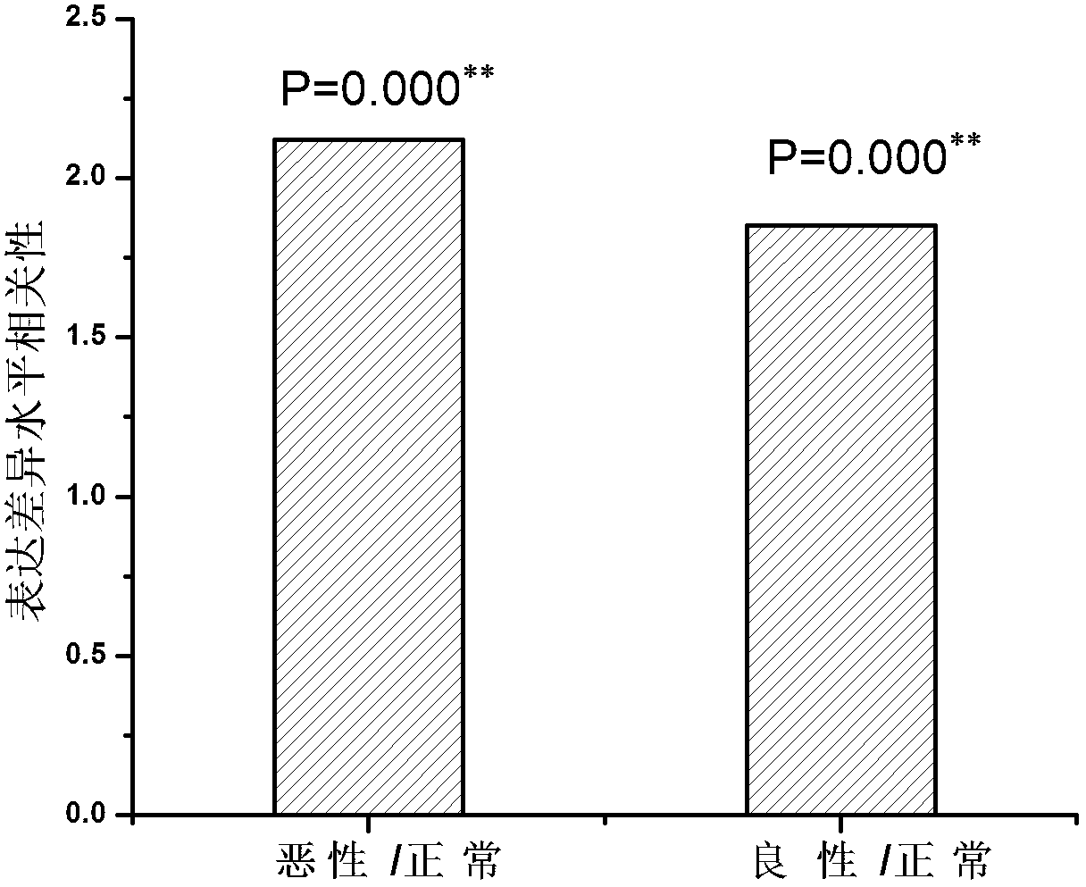 Serological biomarker miR-93 for detecting ovarian tumor and application thereof