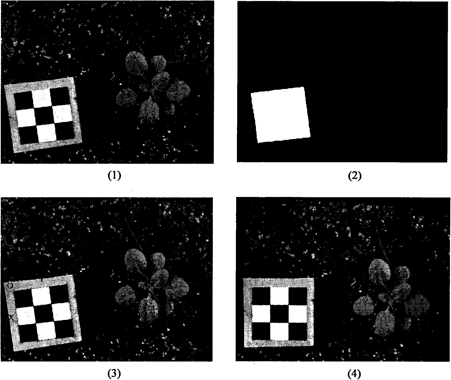 Method for detecting profile phenotype of arabidopsis