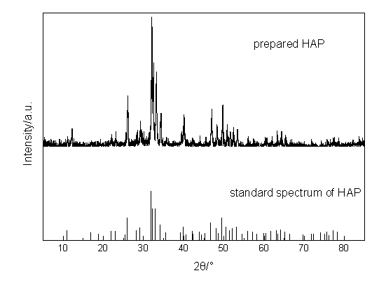 Bone tissue engineering composite porous scaffold material and preparation method thereof