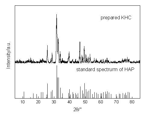 Bone tissue engineering composite porous scaffold material and preparation method thereof