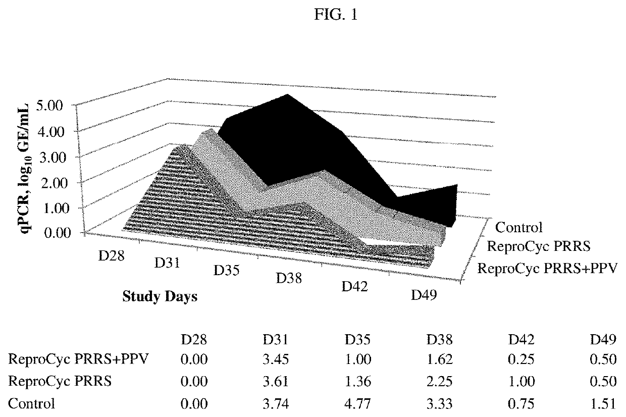 Vaccine against porcine parvovirus and porcine reproductive and respiratory syndrome virus and methods of production thereof