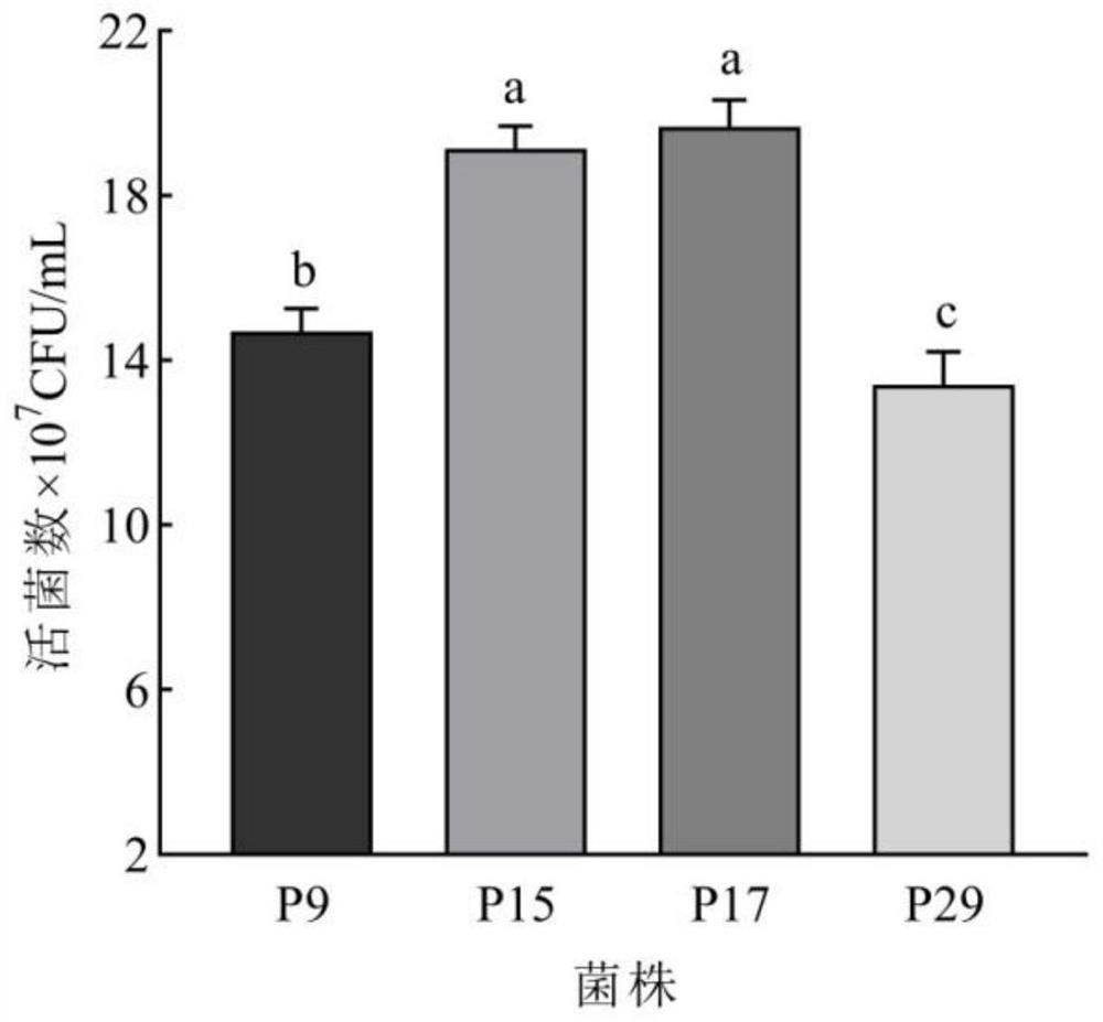 Lactobacillus plantarum p-17 and method for preparing fermented apple juice using the same