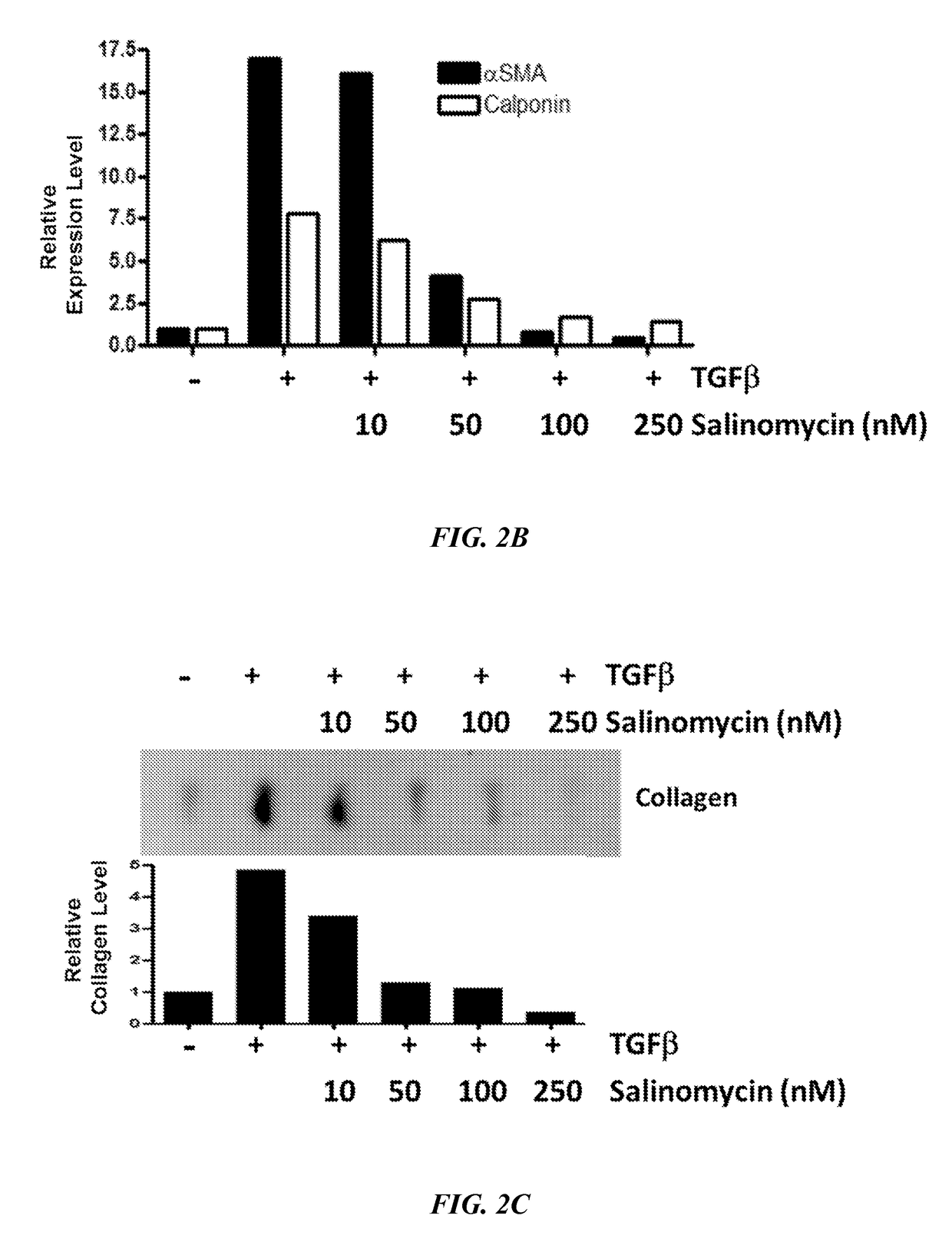 Small molecule Anti-scarring agents