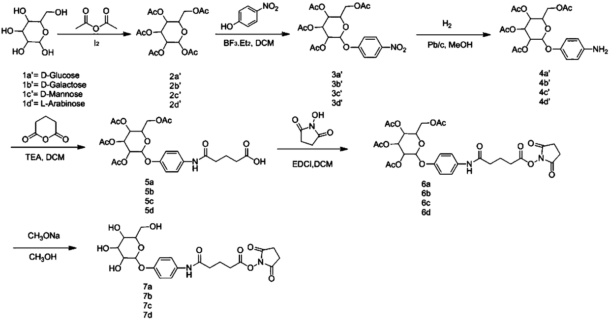 Sugar-polyethylene glycol-DSPE (1,2-distearoyl-sn-glycero-3-phosphoethanolamine) conjugated compound and preparation method and application thereof