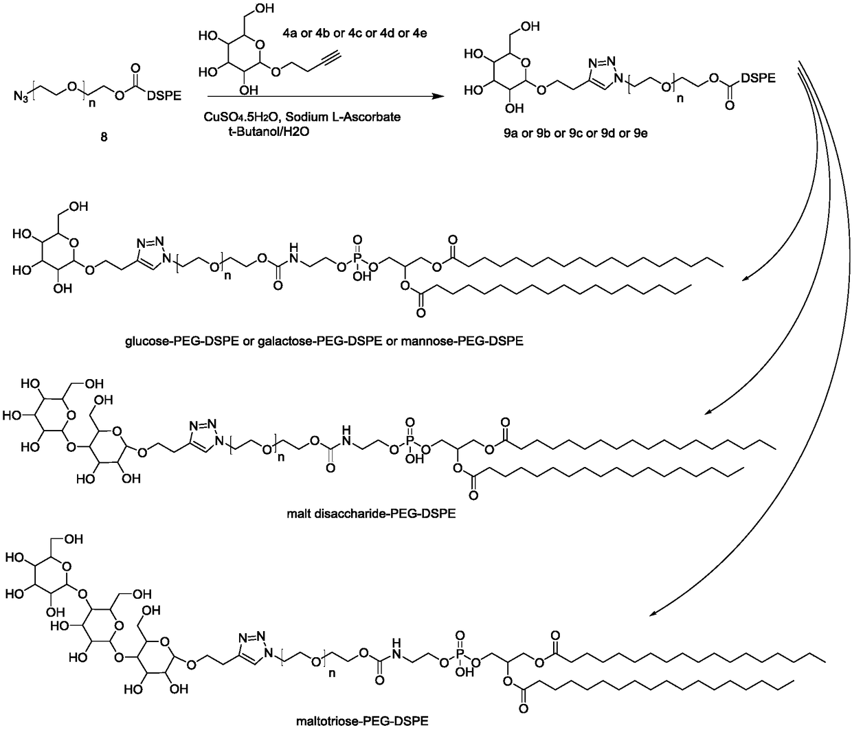 Sugar-polyethylene glycol-DSPE (1,2-distearoyl-sn-glycero-3-phosphoethanolamine) conjugated compound and preparation method and application thereof