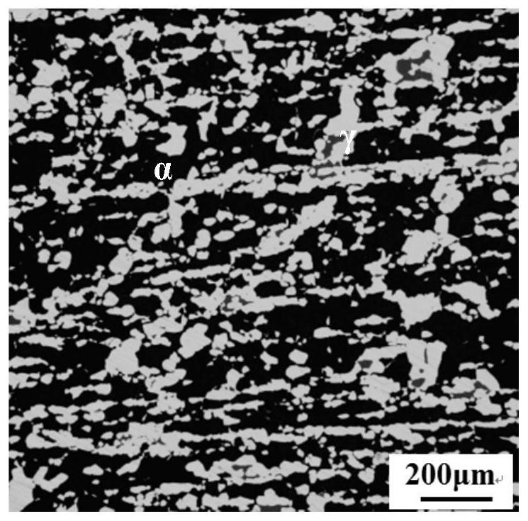 A super duplex stainless steel and its alloy composition optimization design method