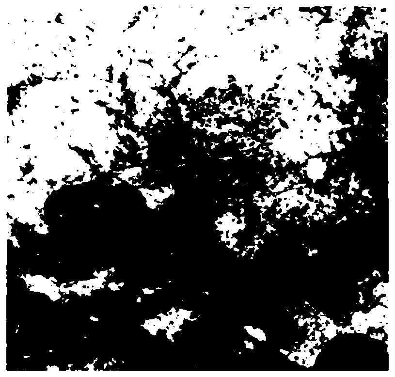 Normalized difference vegetation index scale conversion model construction method and device