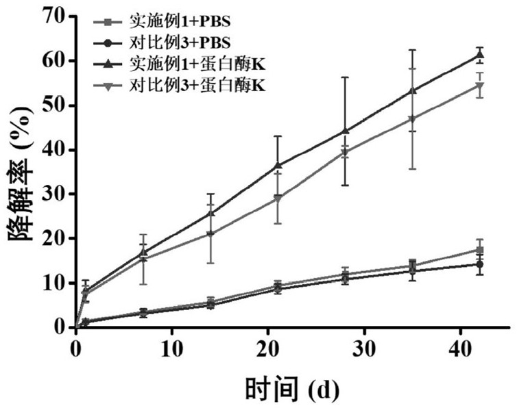 Polyethylene glycol-chitosan dual-network hydrogel as well as preparation method and application thereof