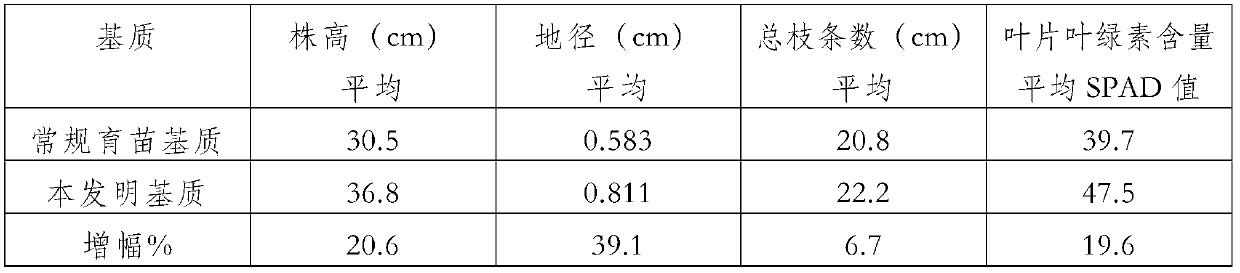 Southern yew container seedling substrate and preparation method thereof