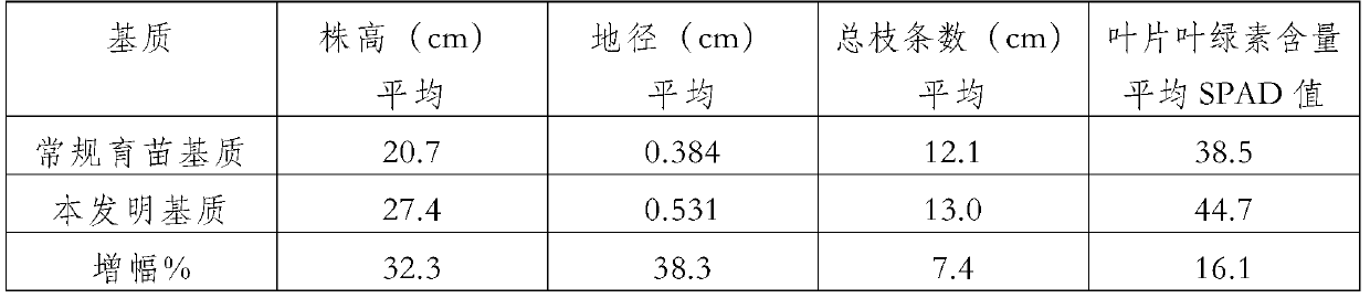 Southern yew container seedling substrate and preparation method thereof