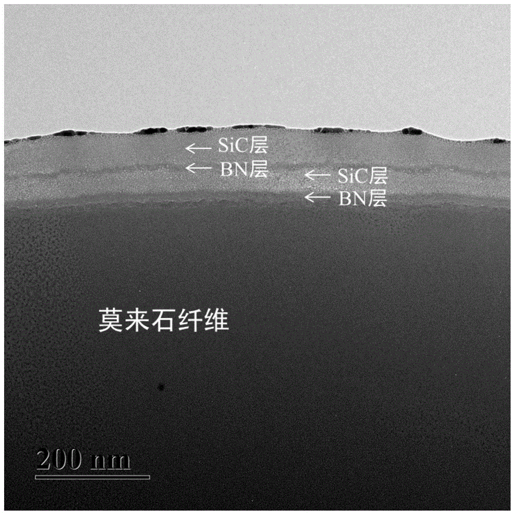 (BN/SiC)n composite interface-phase coating, coating fiber and preparation method