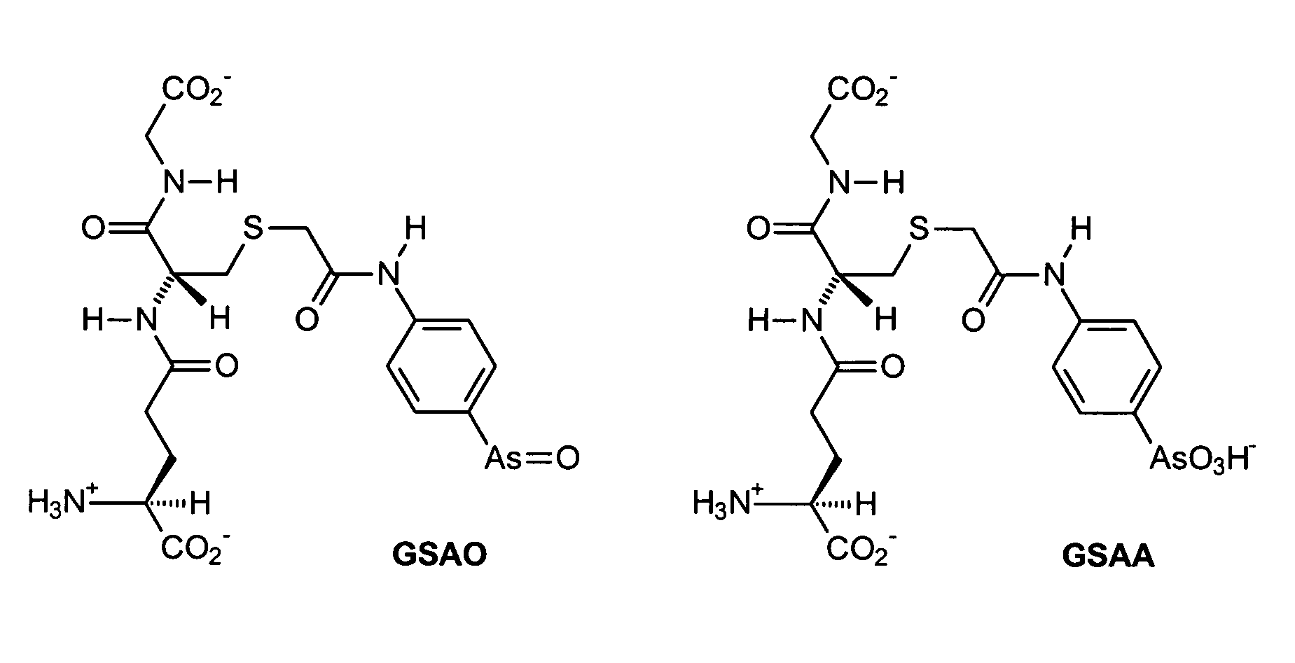 Substantially cell membrane impermeable compound and use thereof