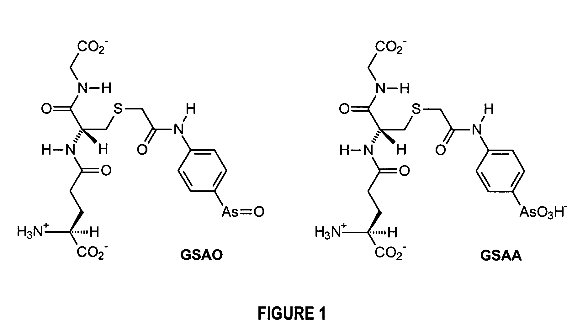 Substantially cell membrane impermeable compound and use thereof