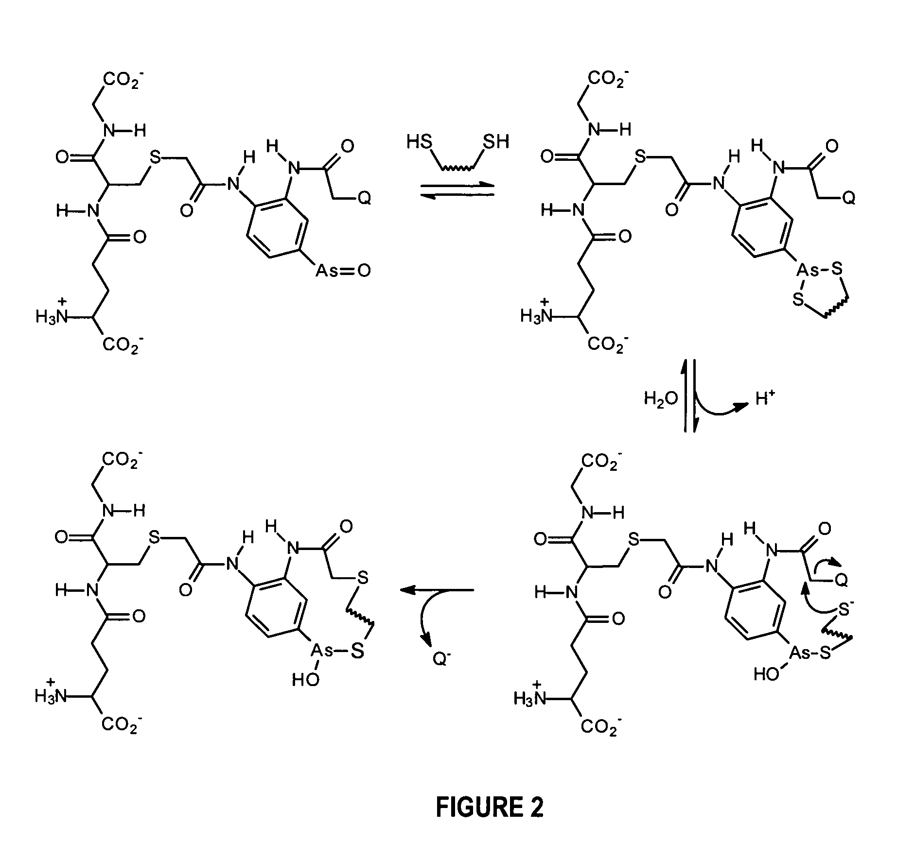 Substantially cell membrane impermeable compound and use thereof