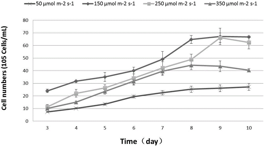 Method for producing phycoerythrin and polyunsaturated fatty acid by using R. salina