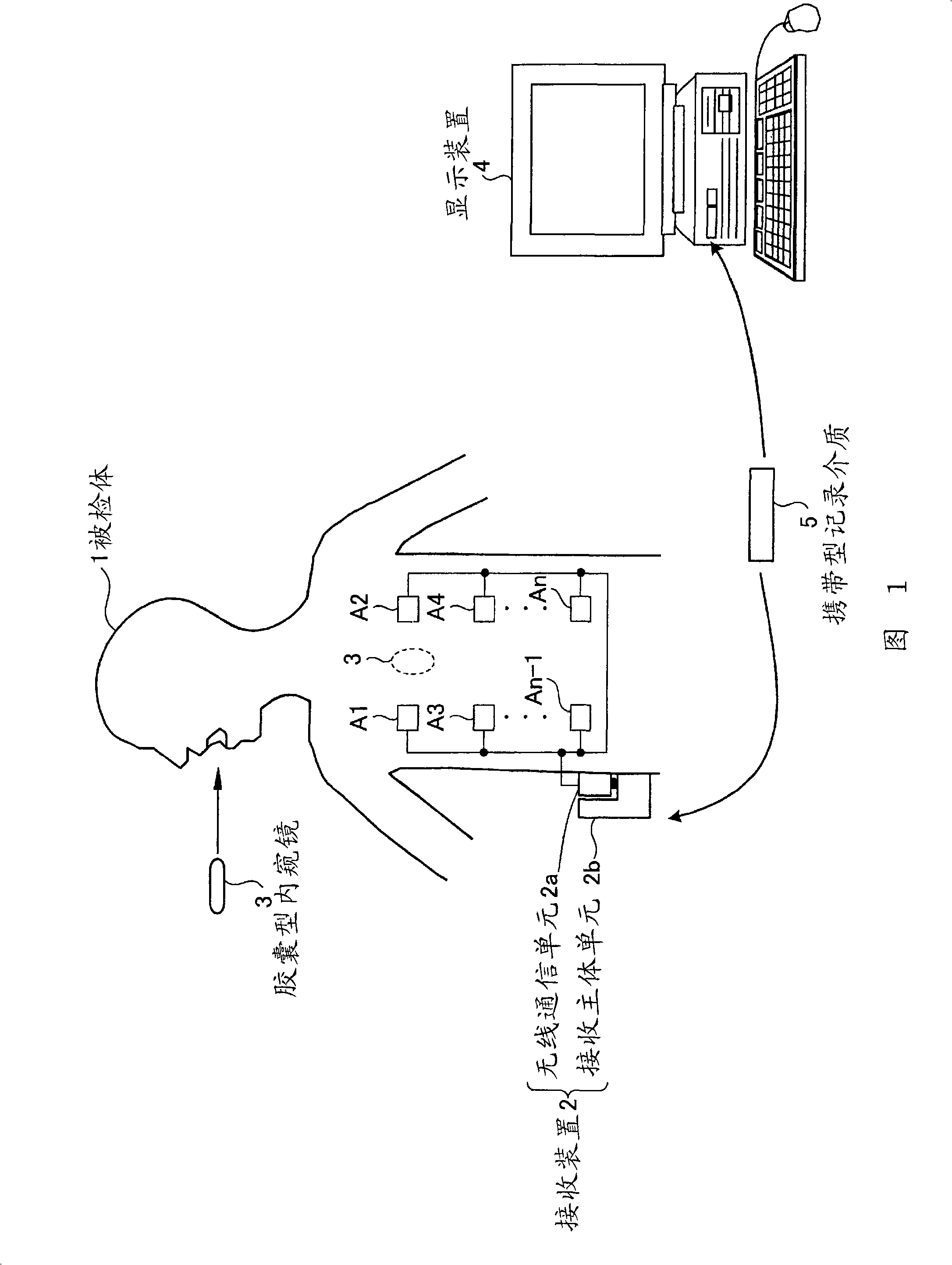 Optical window member for capsule type endoscope