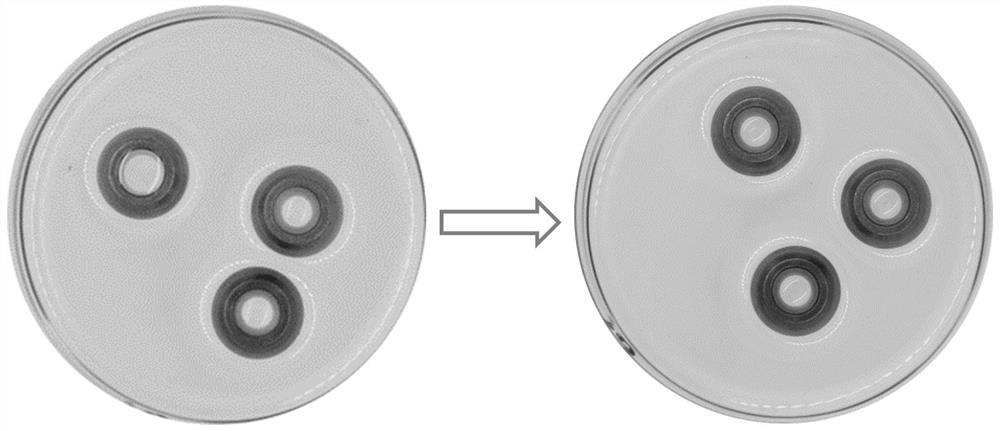 Lubricating oil for high temperature resistant powder metallurgy oil bearing and preparation method thereof