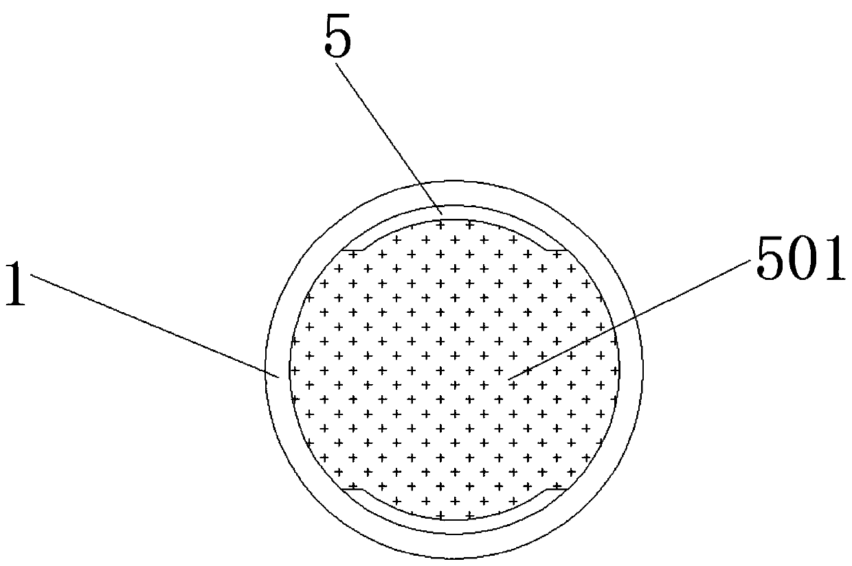 Extractor for foreign matter in ears, nose and throat