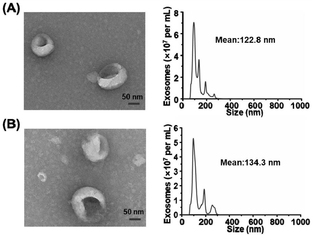 Glycosylation research method of exosomes