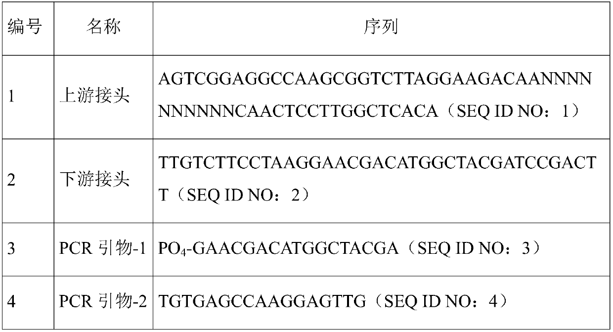 Constructing method of central system infection pathogen detection library based on high-throughput sequencing, detection method and kit