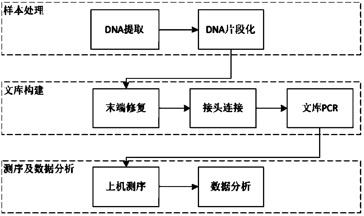 Constructing method of central system infection pathogen detection library based on high-throughput sequencing, detection method and kit