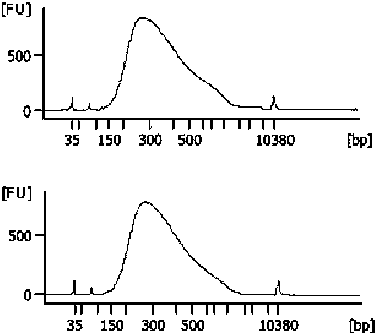 Constructing method of central system infection pathogen detection library based on high-throughput sequencing, detection method and kit