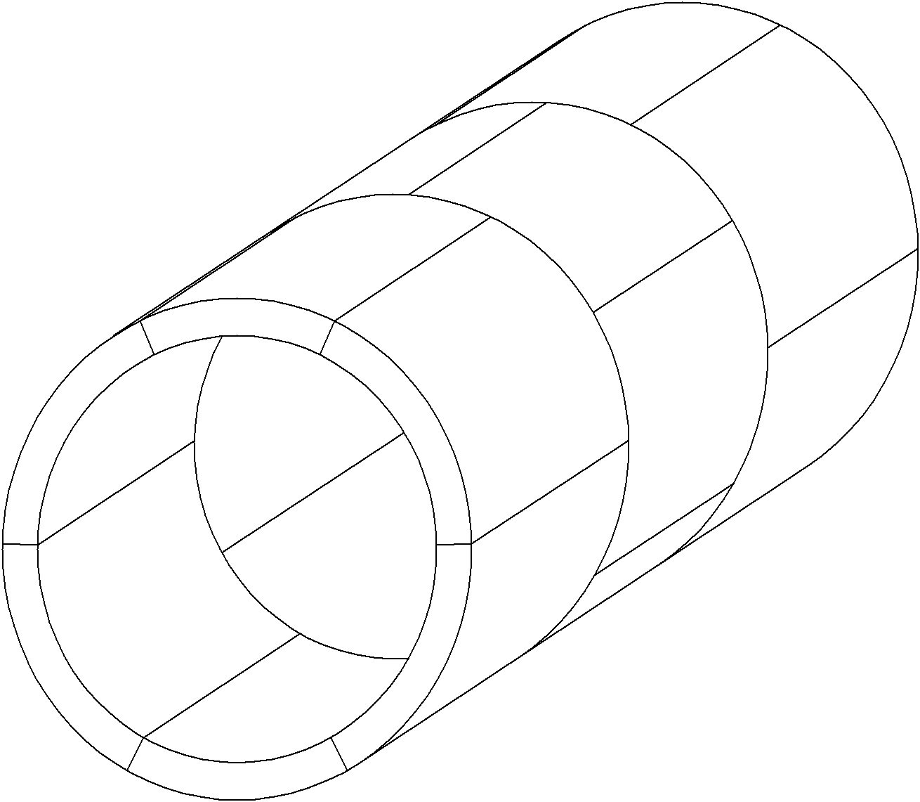 Tunnel bionic reinforcement bridge