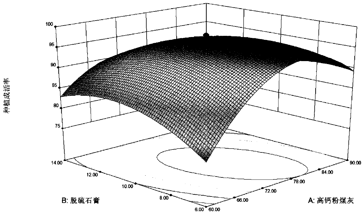 Curing agent for solid waste treatment and application thereof