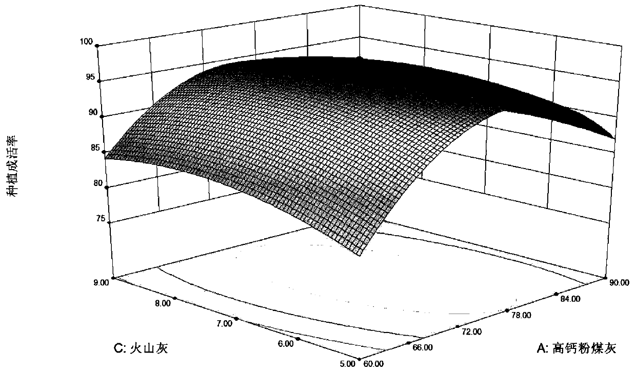 Curing agent for solid waste treatment and application thereof