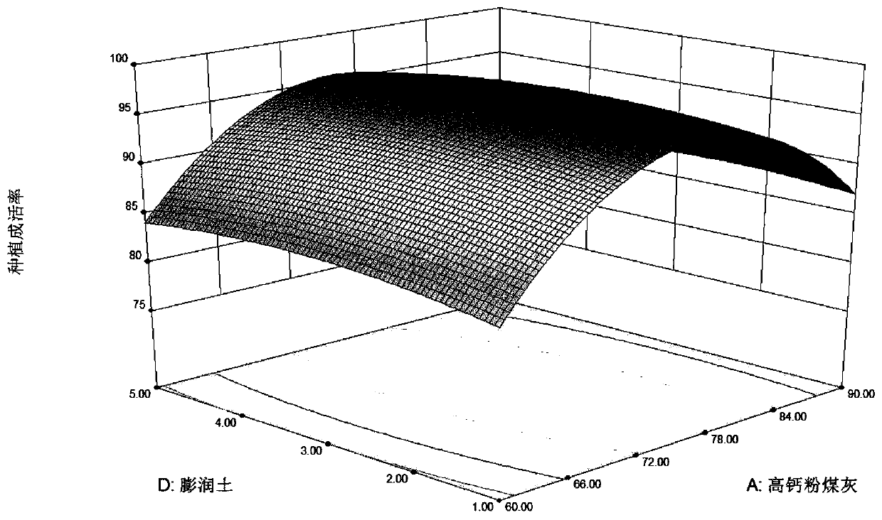 Curing agent for solid waste treatment and application thereof