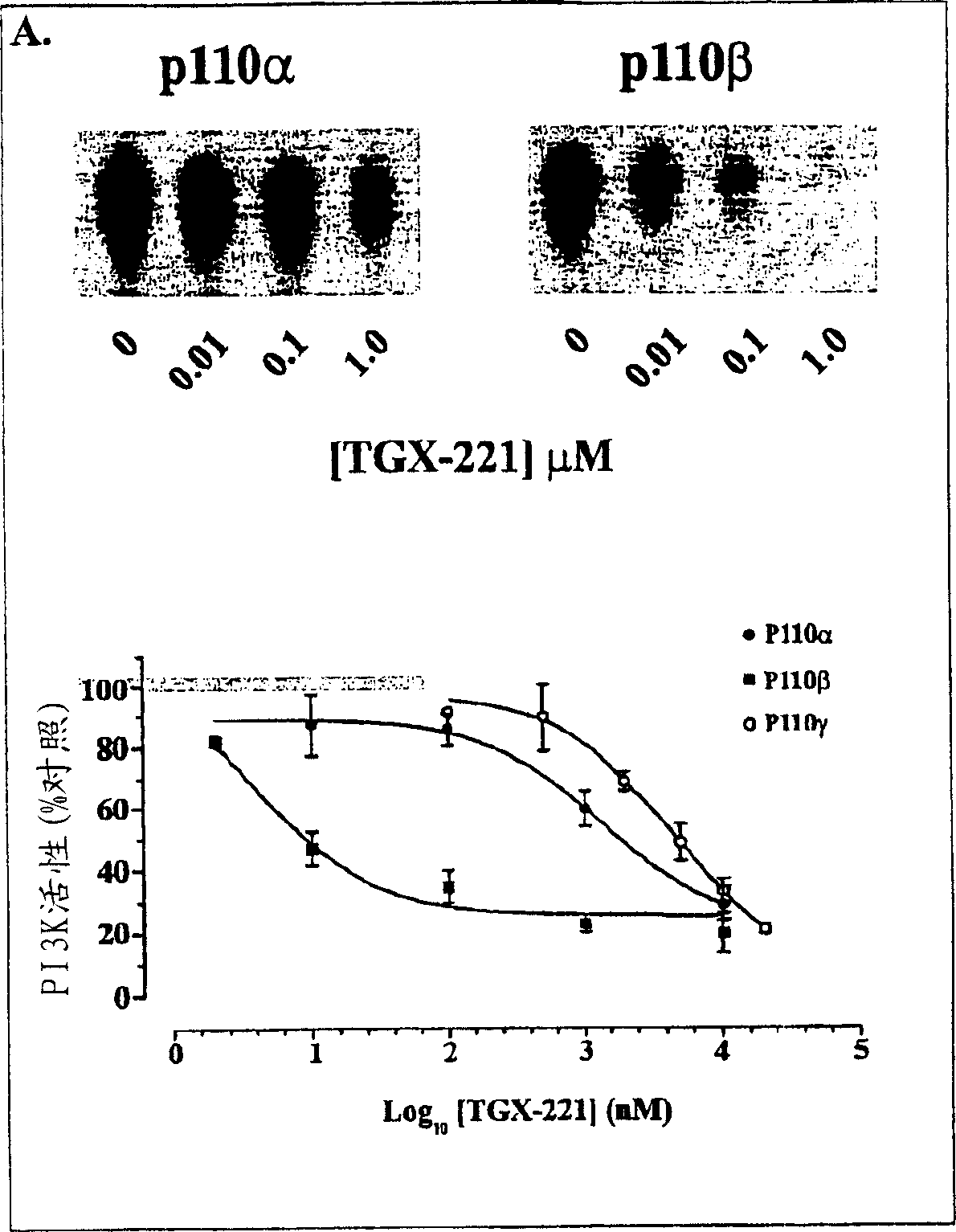 Inhibition of phosphoinositide 3-kinase beta