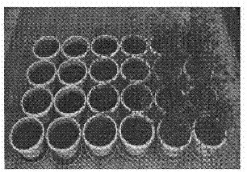 Method for improving heavy metal-polluted soil