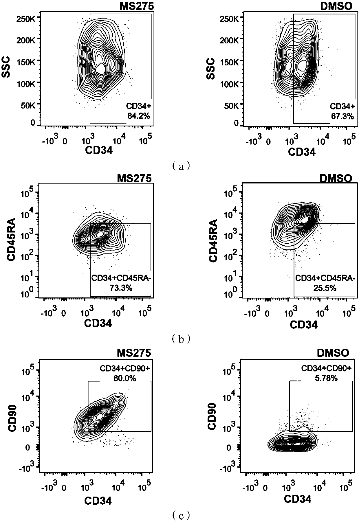 Culture system and method for amplifying hemopoietic stem cells as well as application thereof