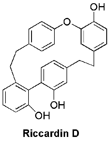 Nitrogen-containing derivatives of lamellarin d, their preparation methods and their use in the treatment of tumor diseases