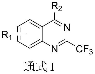 2-trifluoromethyl-4-aminoquinazoline compound and application thereof