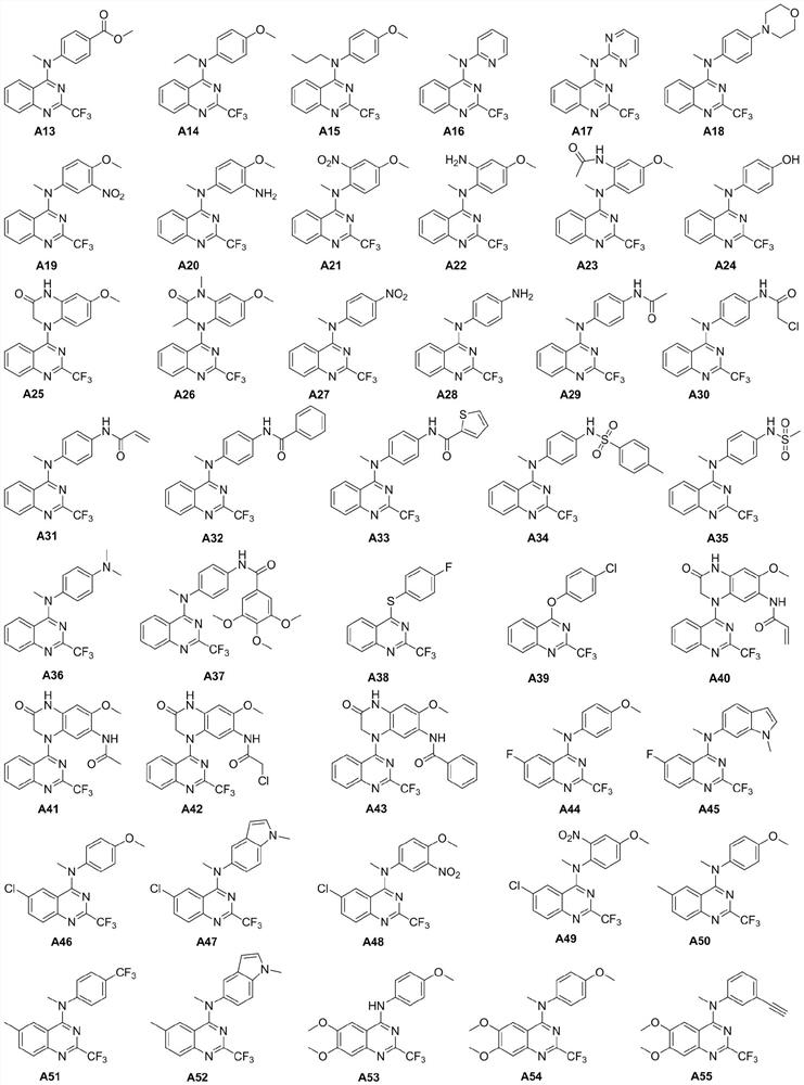 2-trifluoromethyl-4-aminoquinazoline compound and application thereof