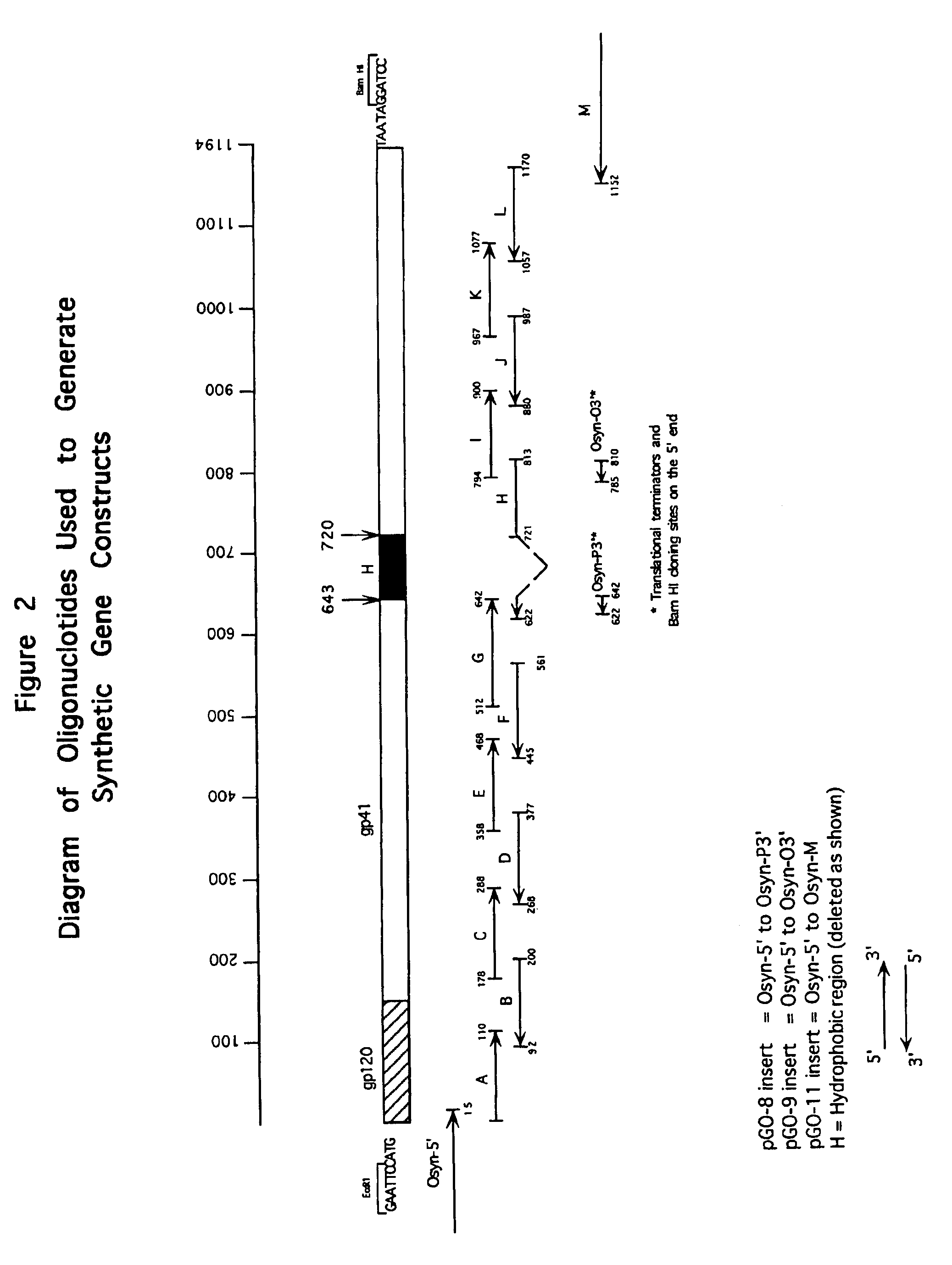 Antigen constructs useful in the detection and differentiation of antibodies to HIV