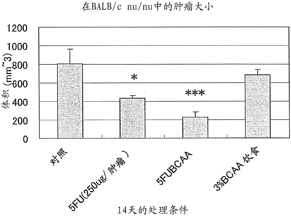 Enhancers of antitumor activity of chemotherapeutic agents