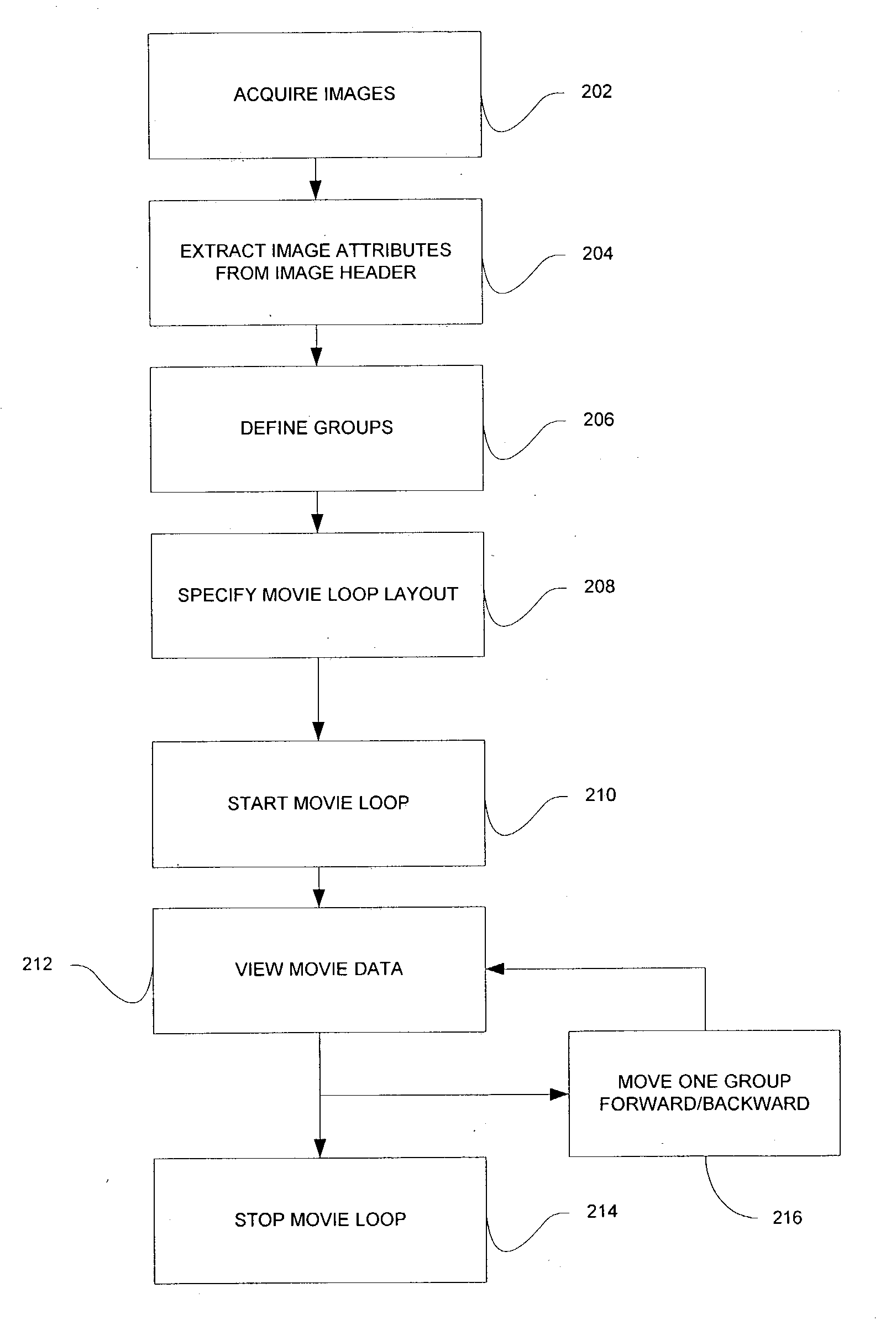 System and method for generating movie loop display from medical image data