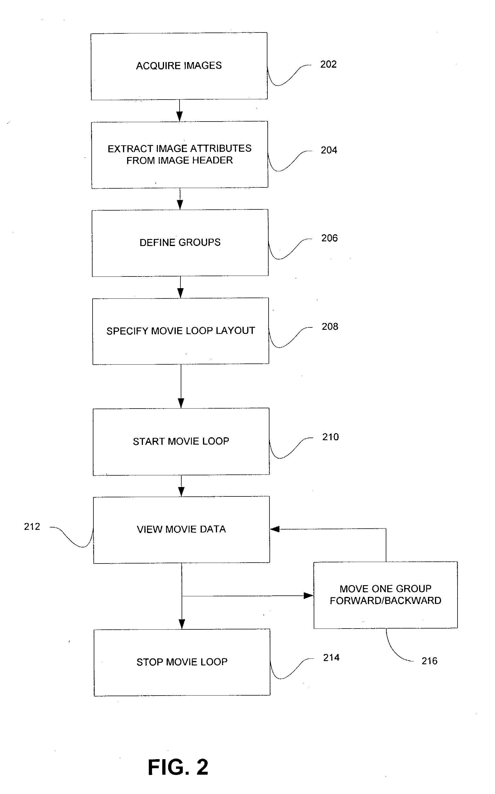 System and method for generating movie loop display from medical image data