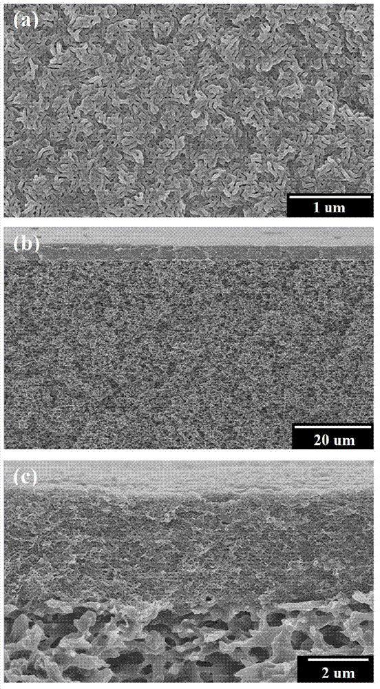 Method for preparing porous membranes based on selective swelling of block copolymers