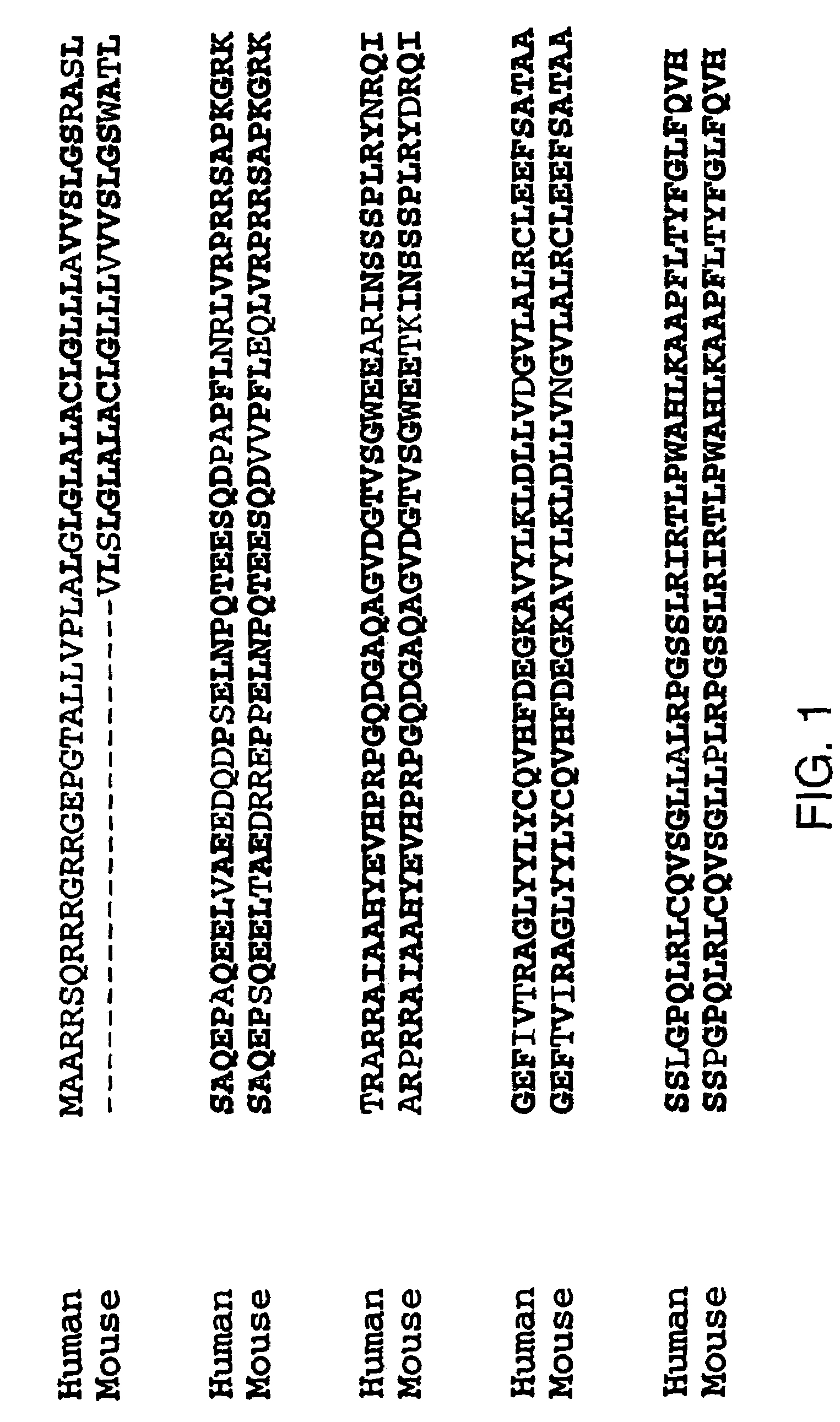 Antagonists of tweak and of tweak receptor and their use to treat immunological disorders