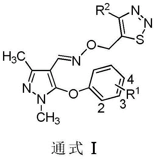 Preparation method and application of 1,2,3-thiadiazole pyrazole oxime ether compounds