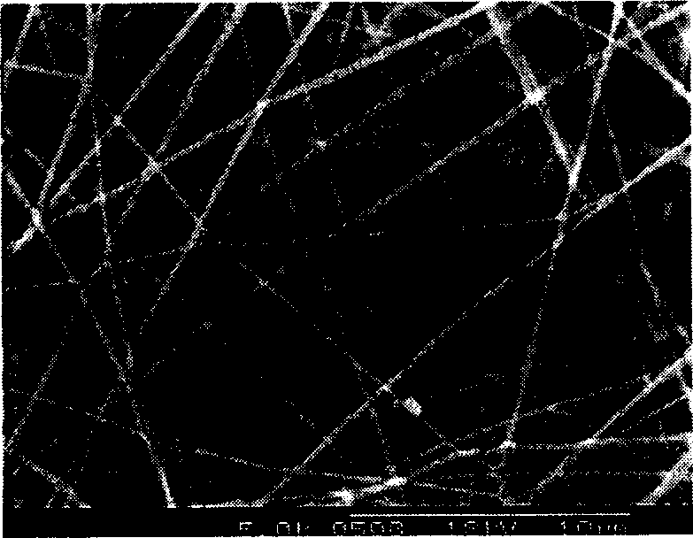 Nanometer fiber slow-releasing system and its prepn process and application