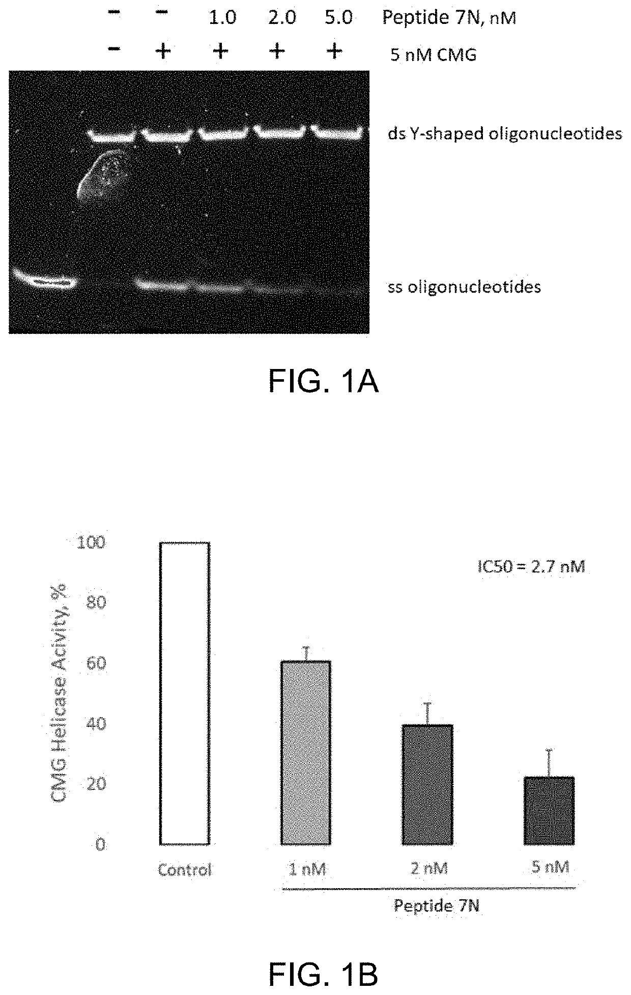 Cyclic peptide for treating cancer