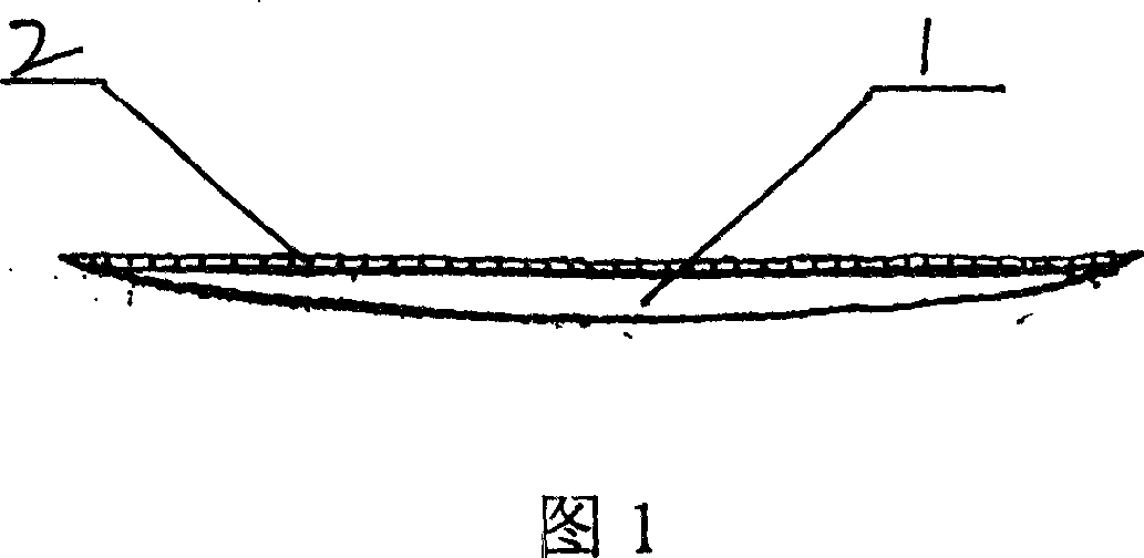 High-elastic and non-deforming sizing materials of front uppers of shoes, their production of non-deforming front uppers