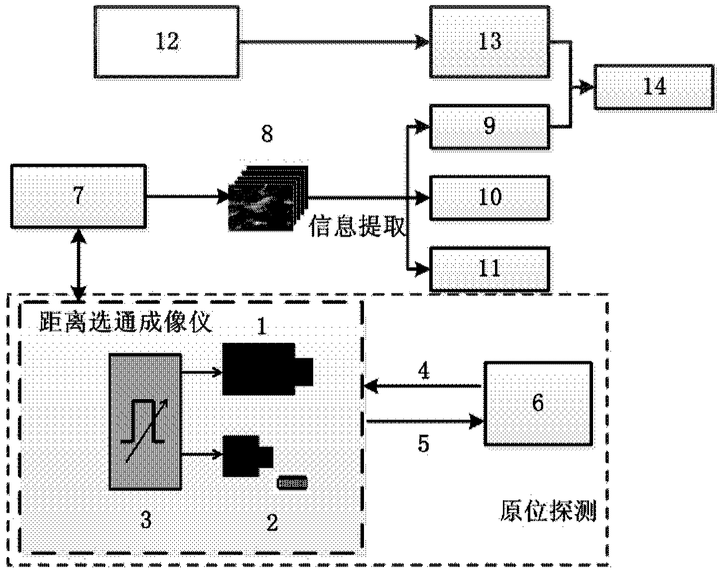 Optical stereo sampling in-situ detection method capable of acquiring zooplankton information